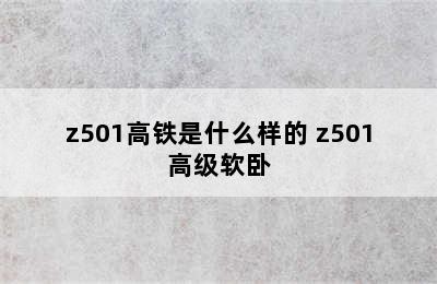 z501高铁是什么样的 z501高级软卧